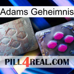 Adams Secret 38